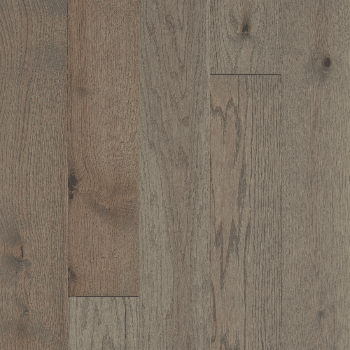 Exploration Oak - Journey - Image 2