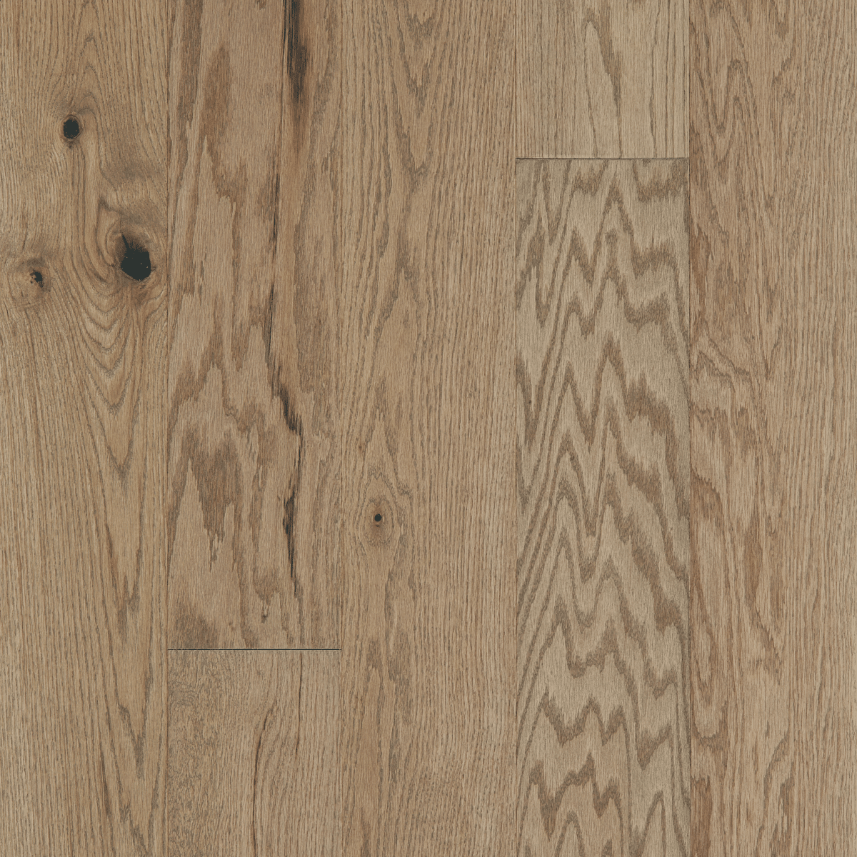 Exploration Oak - Voyage - Image 2