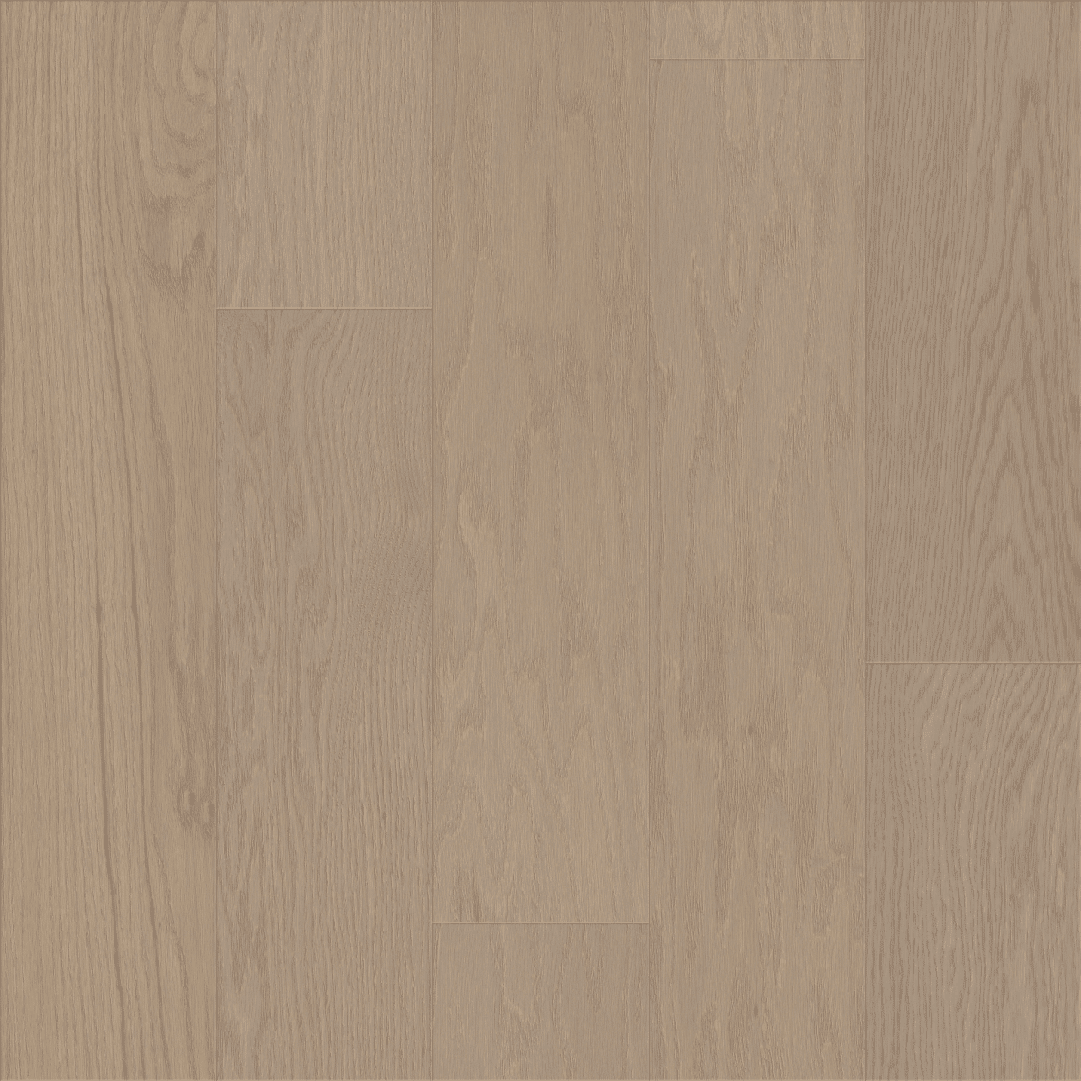 Sanctuary Oak - Haven - Image 3