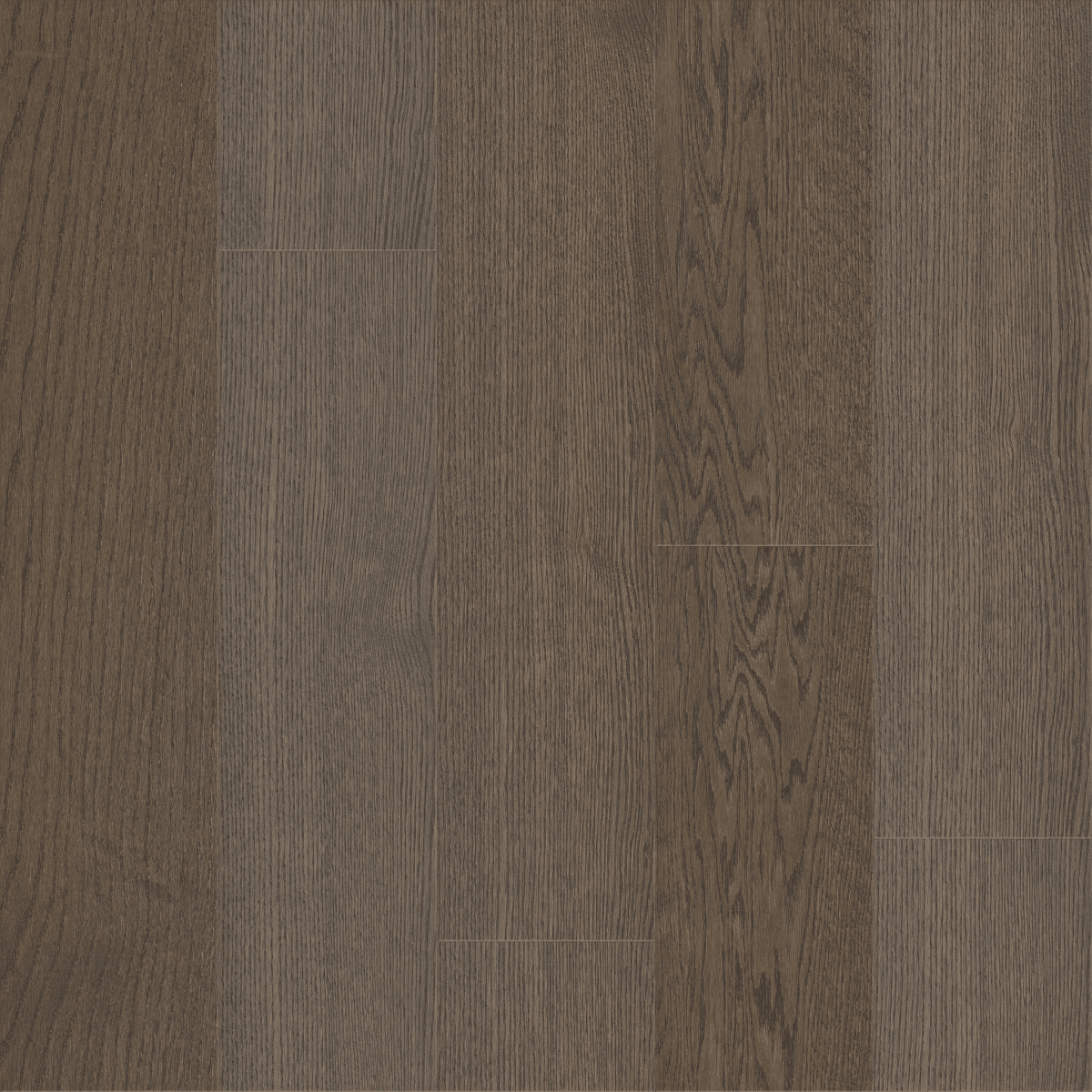 Sanctuary Oak - Hearth - Image 3