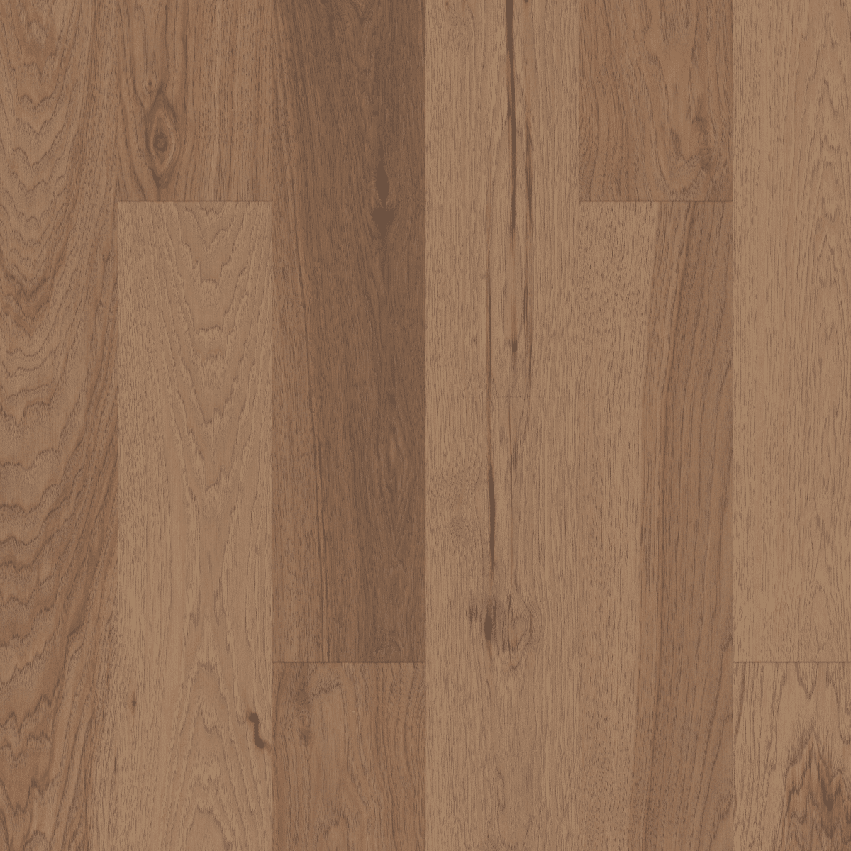 Sanctuary Hickory - Quietude - Image 3
