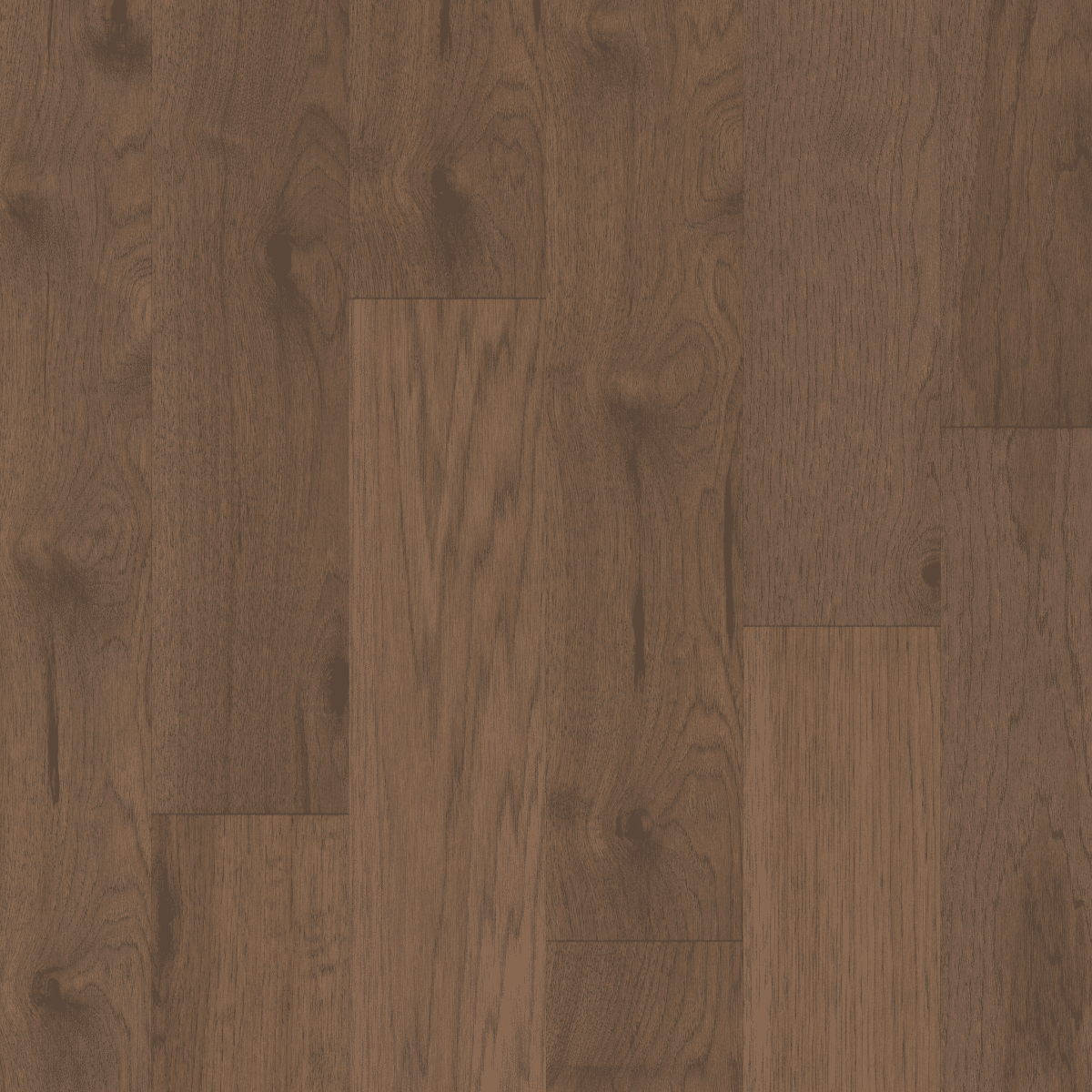 Sanctuary Hickory - Tranquility - Image 3