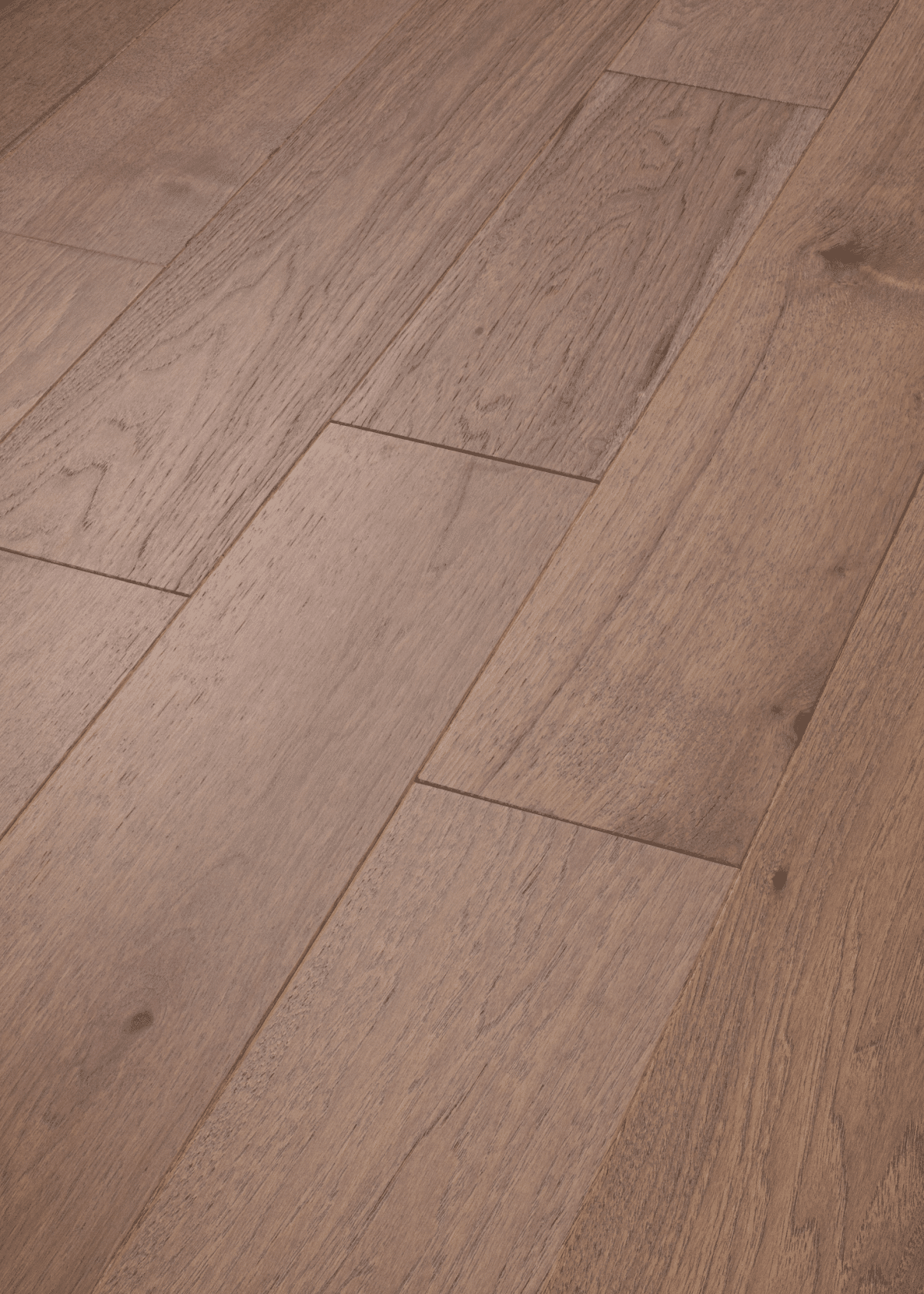Exploration Hickory - Delta - Image 2