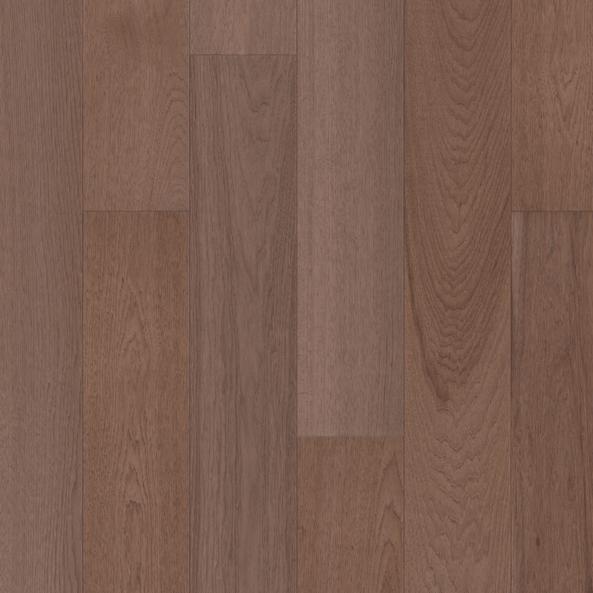 Exploration Hickory - Delta - Image 3