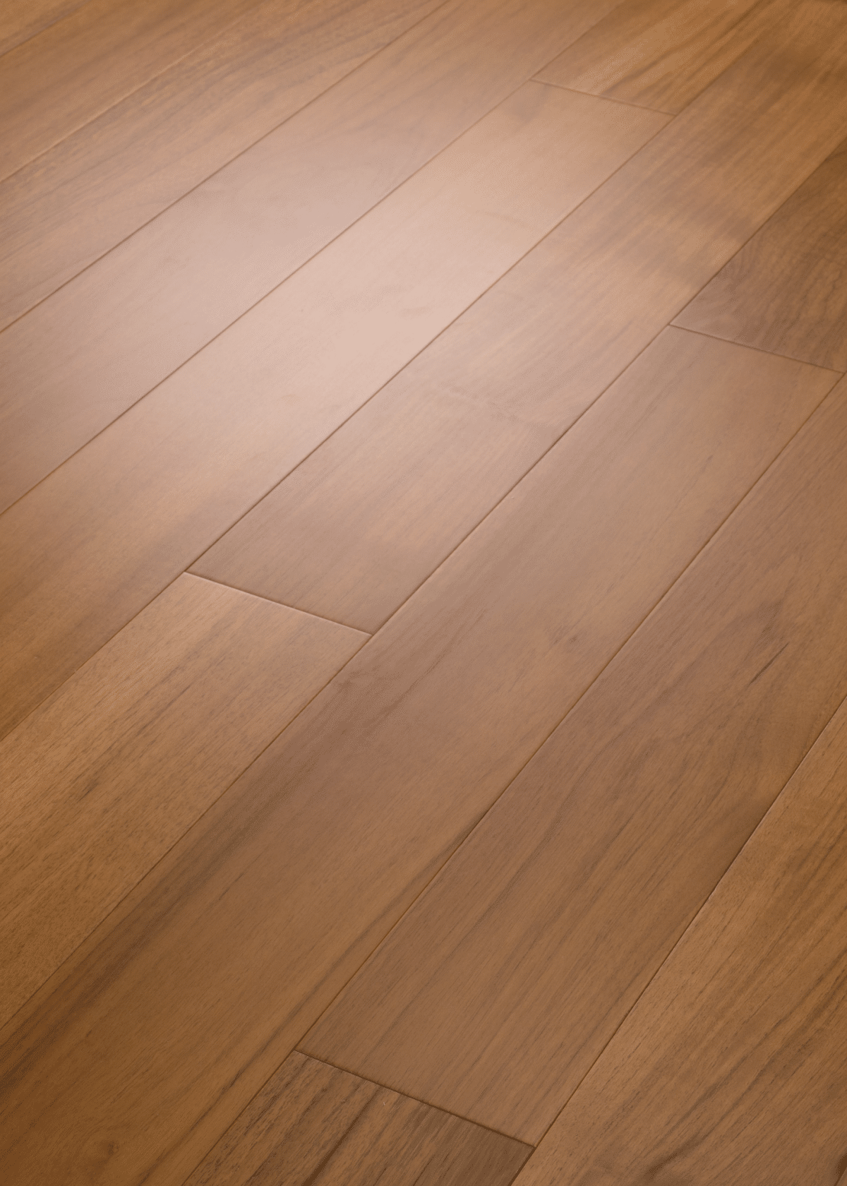 Regatta Teak 5" - Mainsail - Image 2