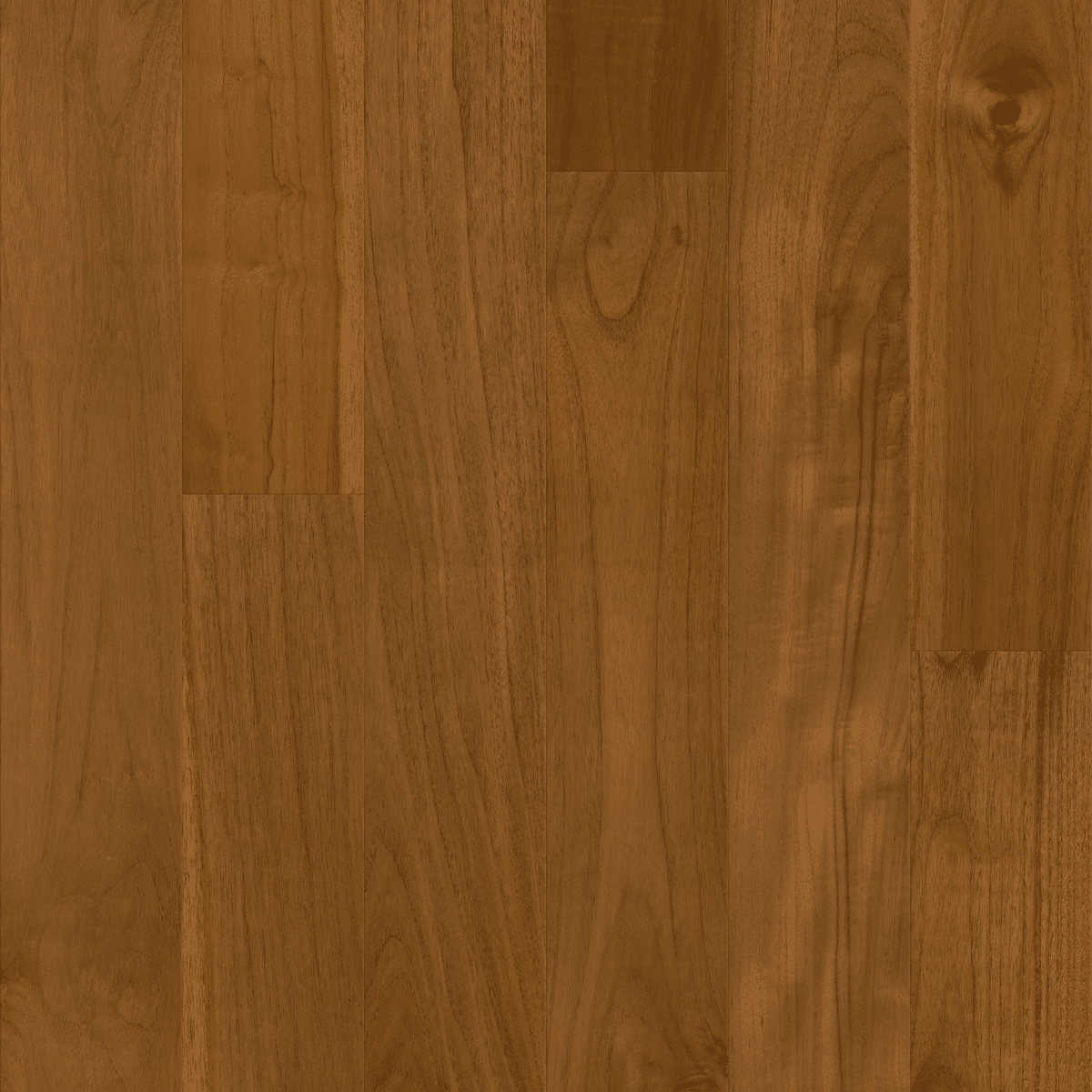 Regatta Teak 5" - Mainsail - Image 3
