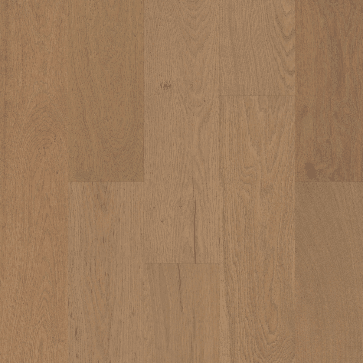 Ensemble - Crema - Image 2