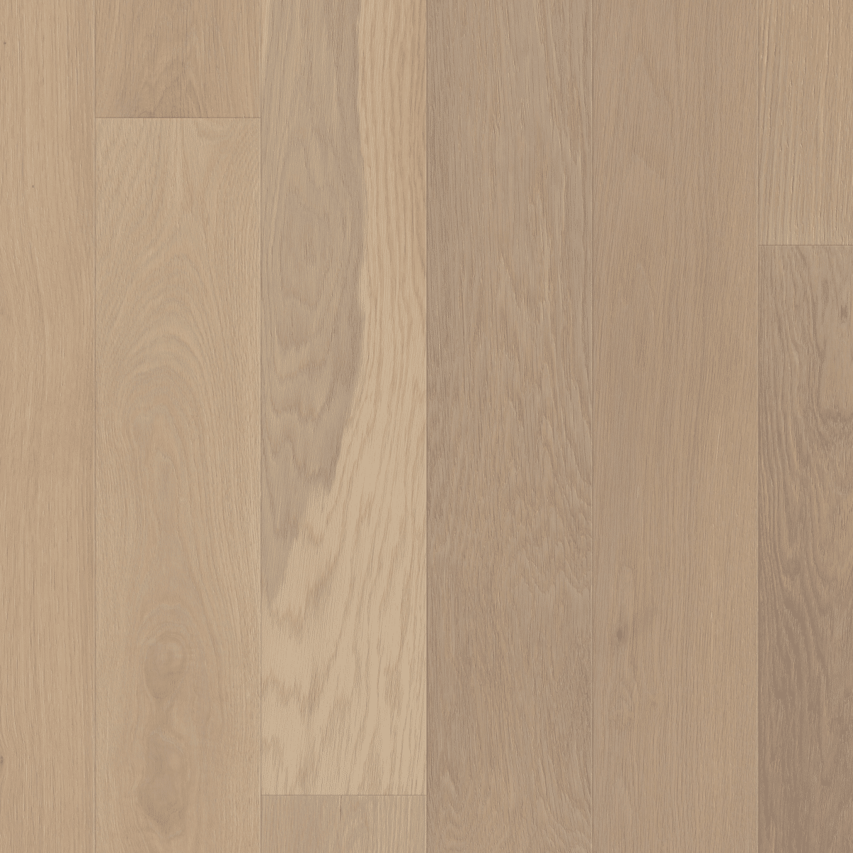 Shaw Americana Oak - Anthem - Image 2