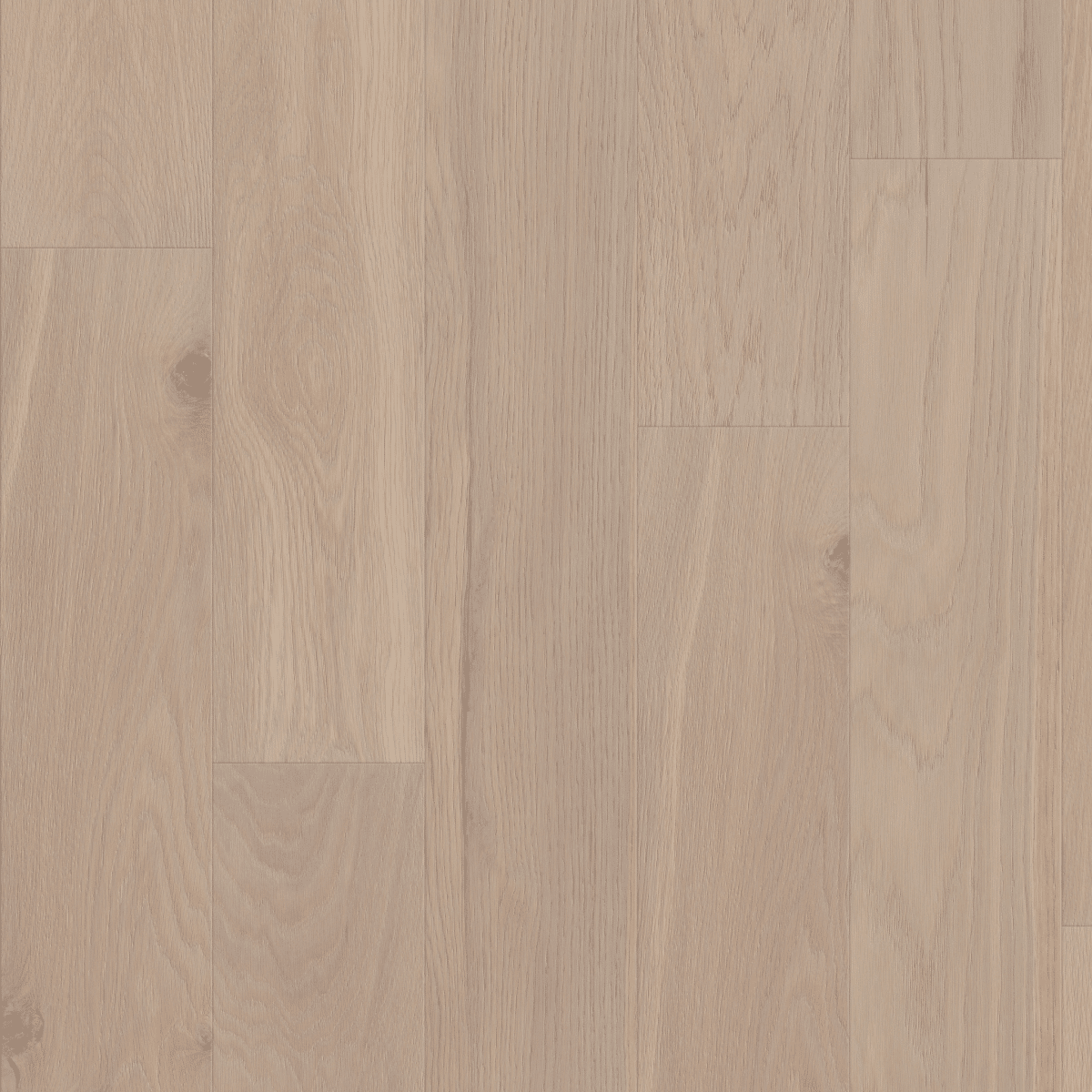 Shaw Americana Oak - Tradition - Image 2