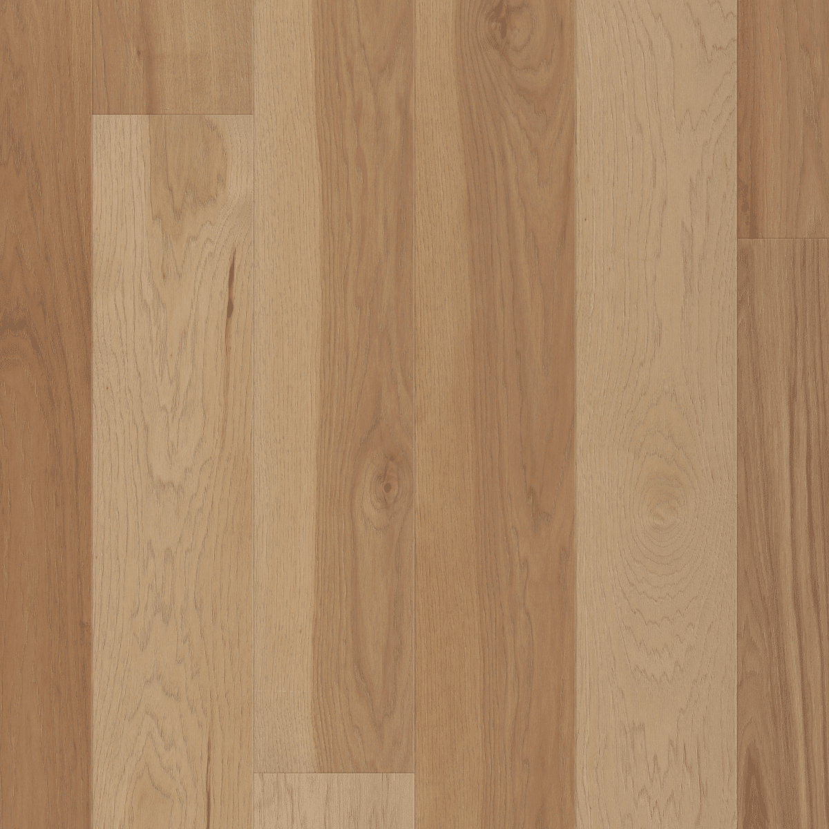 Shaw Americana Hickory - Spirit - Image 3