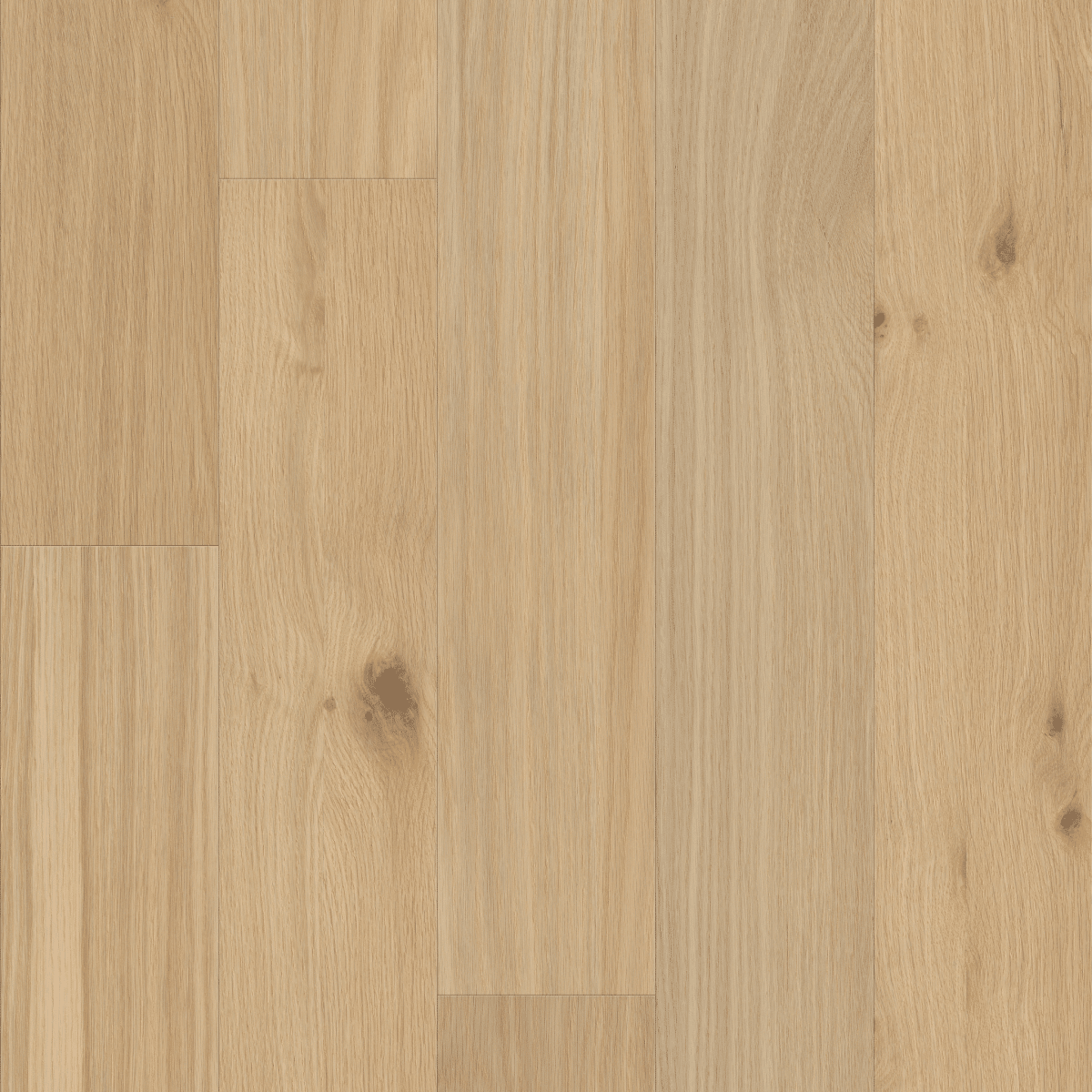 Liberty Oak - Eclectic - Image 4