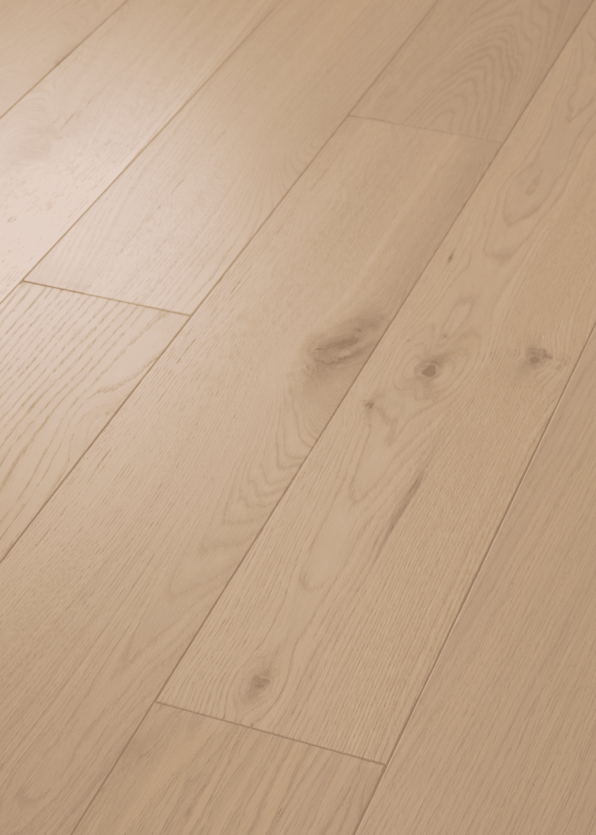 Liberty Oak - Anthem - Image 2