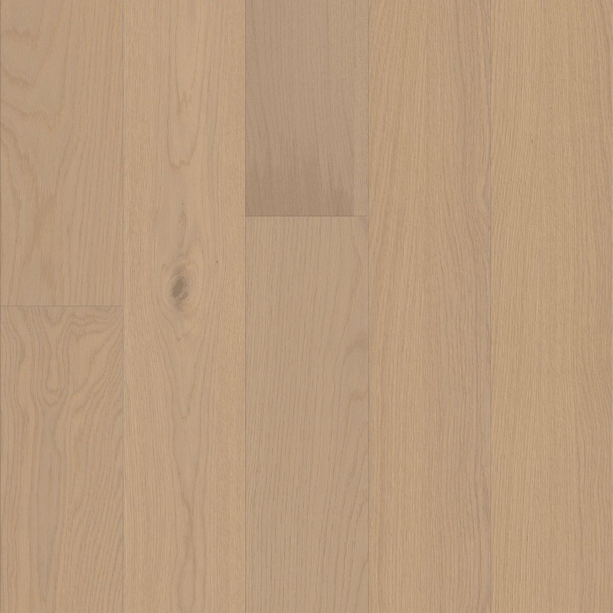 Liberty Oak - Anthem - Image 4