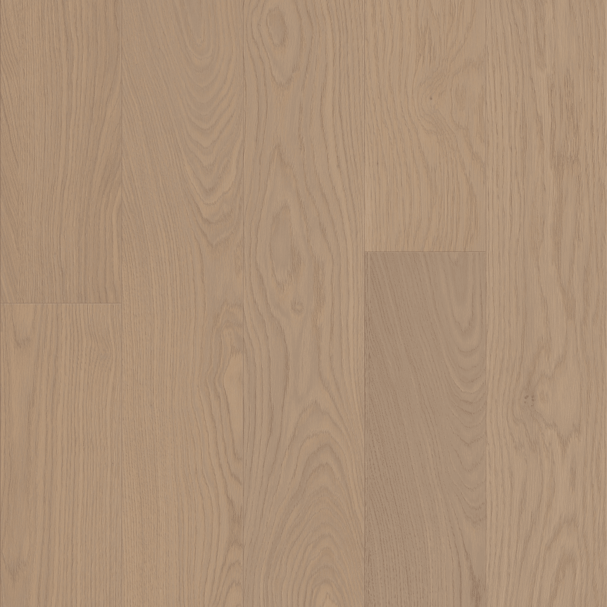 Liberty Oak - Heritage - Image 4