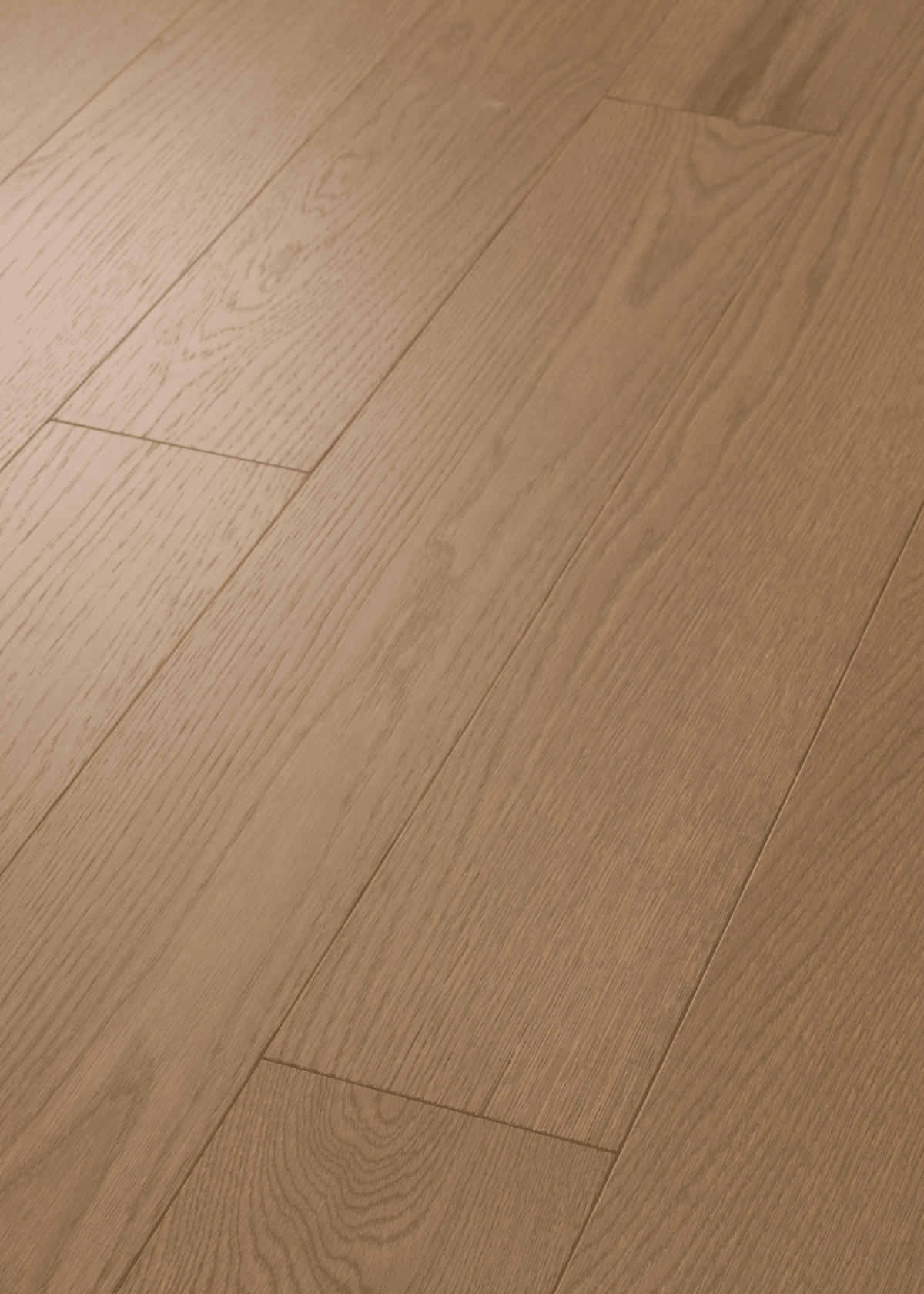Liberty Oak - Legacy - Image 2