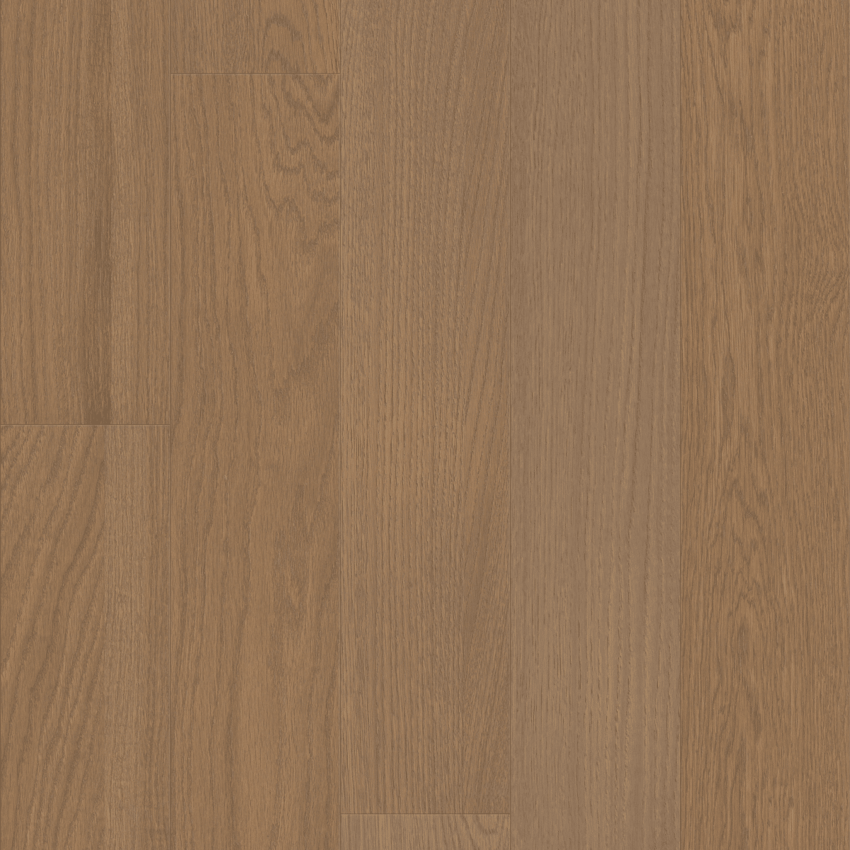 Liberty Oak - Legacy - Image 4