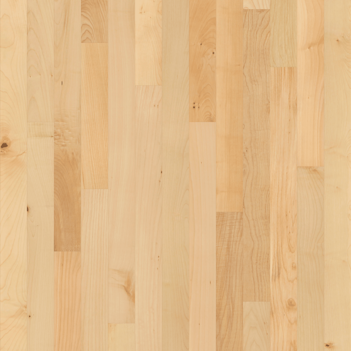 Natural Classics Hard Maple 3" - Natural Hard Maple