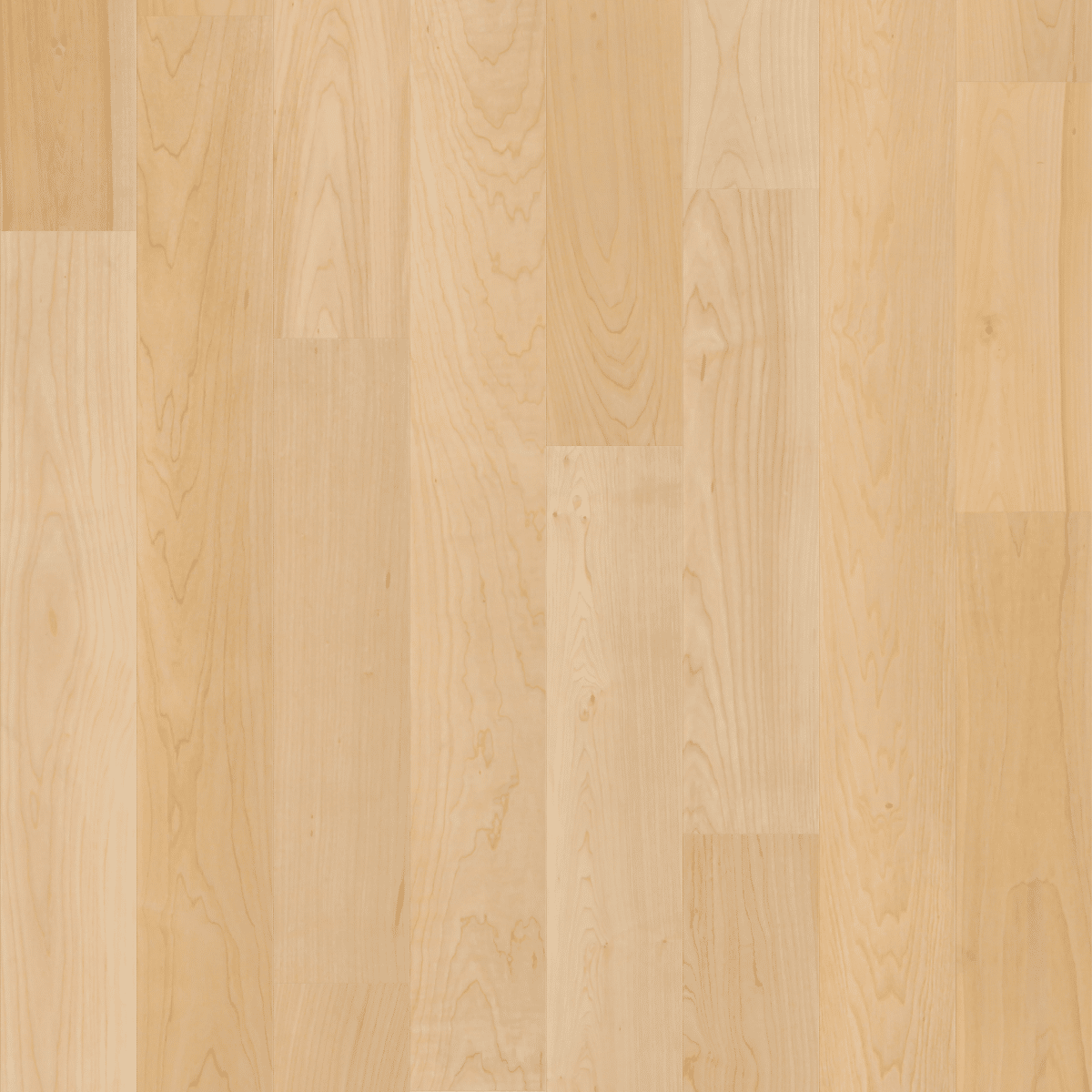 Natural Classics Hard Maple 5" - Natural Hard Maple