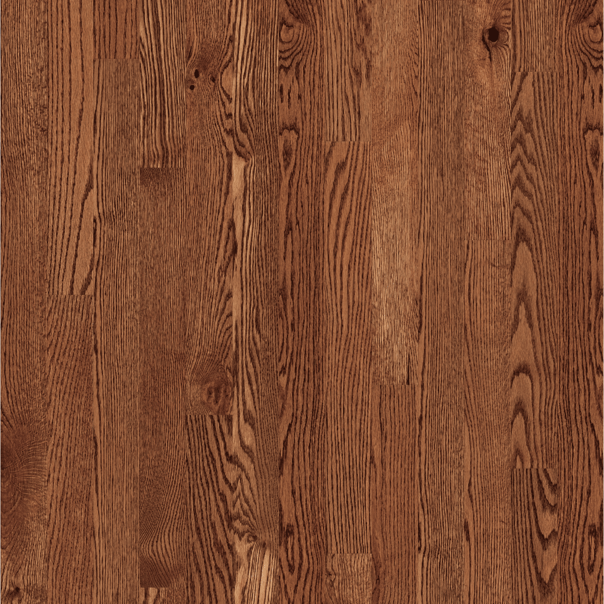 Lineage Oak 3" - Saddle