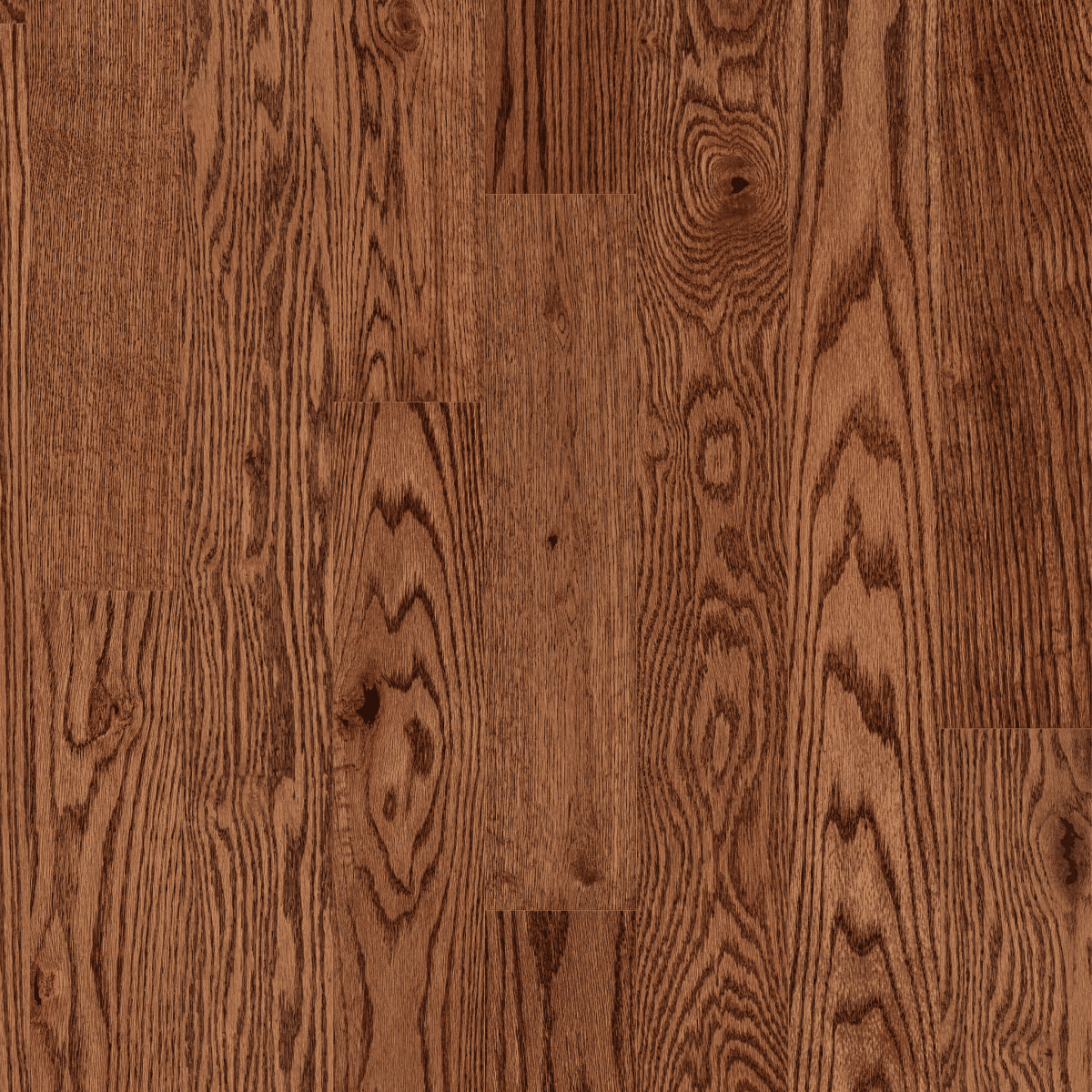 Lineage Oak 5" - Saddle