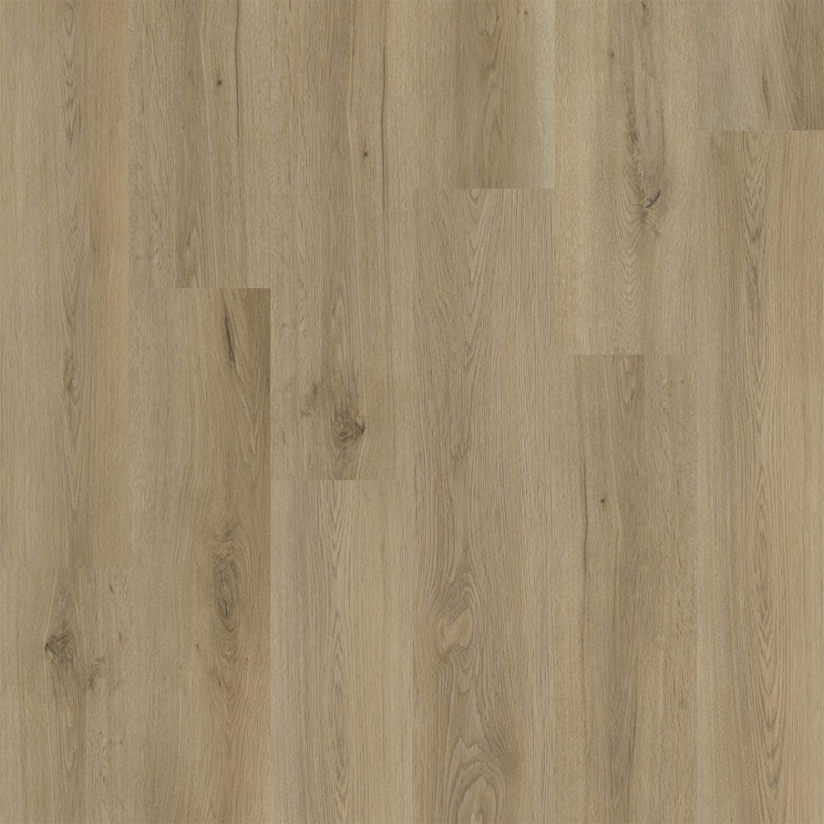 PureGrain Comfort ELEVATE -  Edgewood