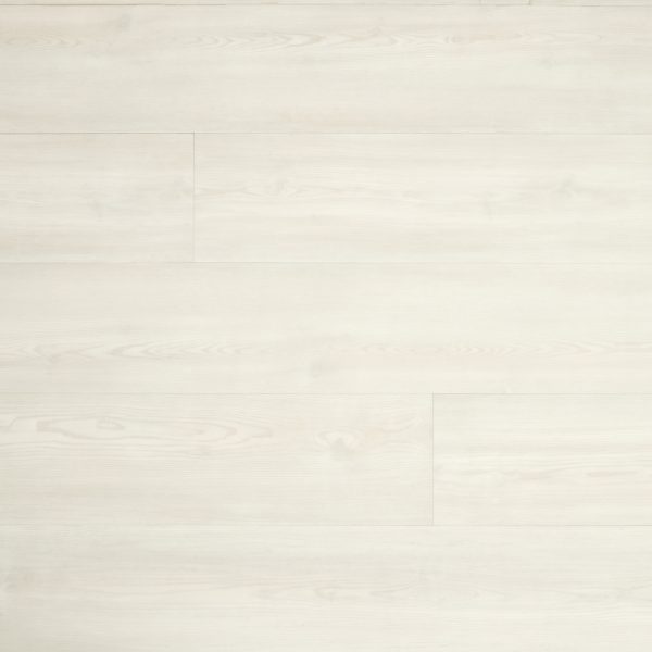 Oceanview Blank Canvas